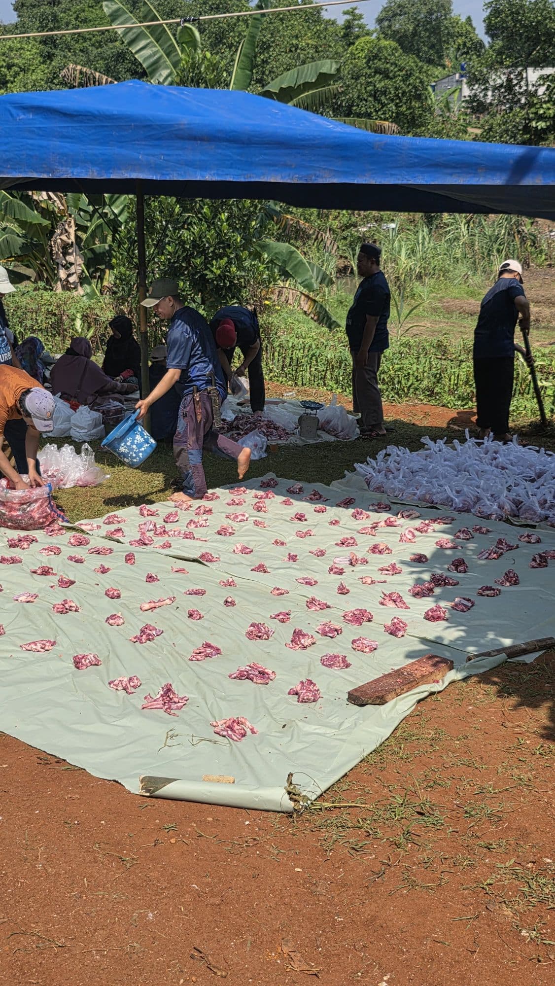 Pemotongan Hewan Qurban DPC PKS Parung