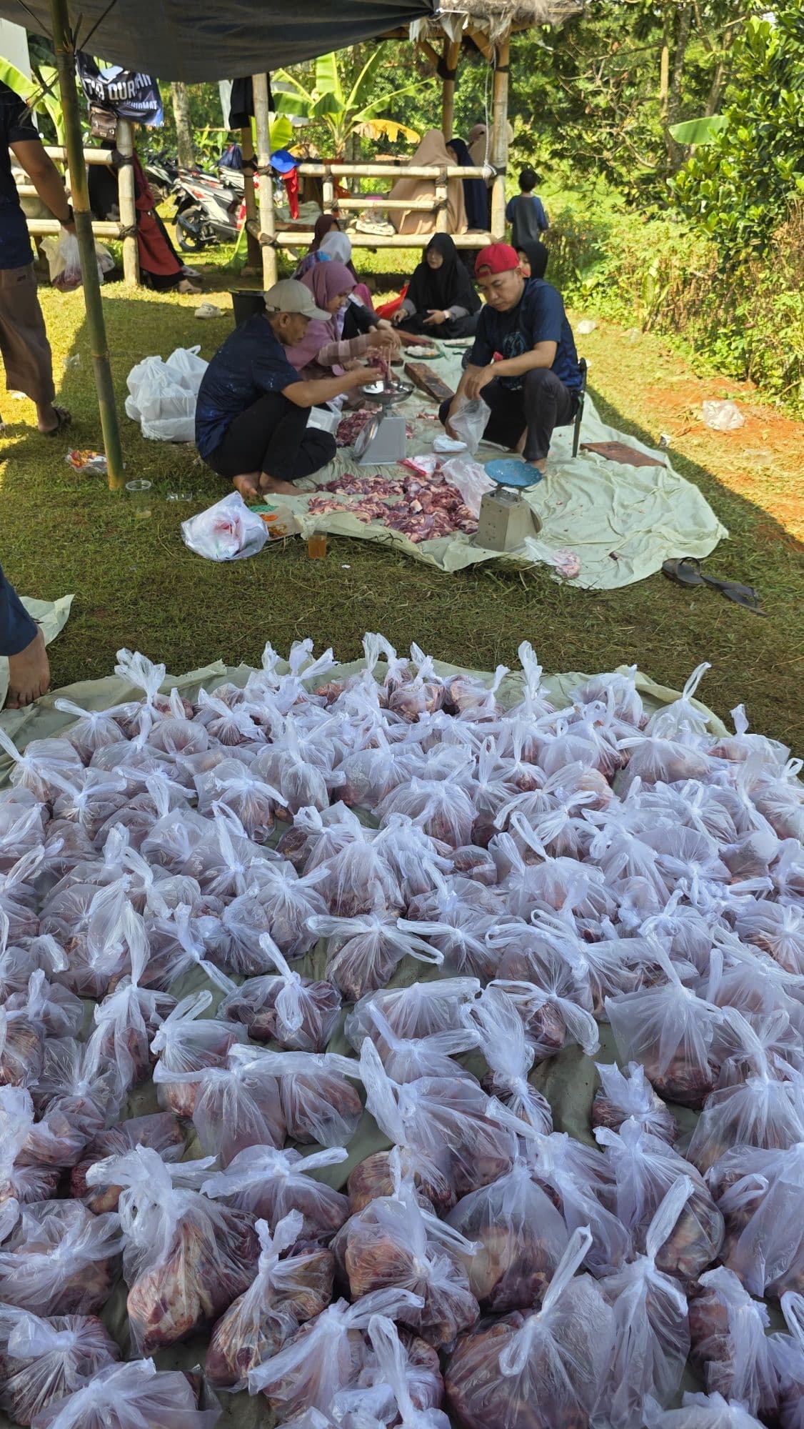 Pemotongan Hewan Qurban DPC PKS Parung
