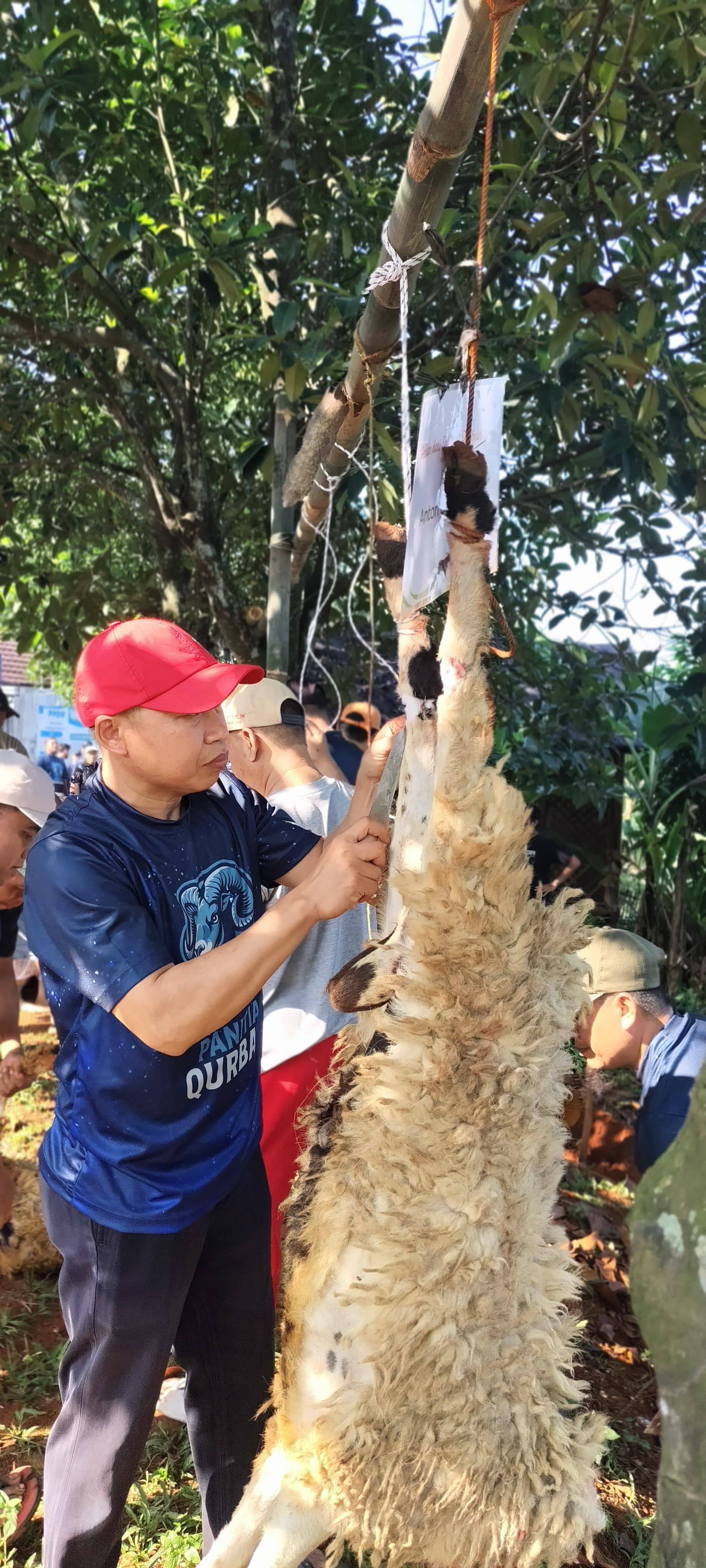 Pemotongan Hewan Qurban DPC PKS Parung